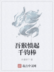 浪浪视频下载