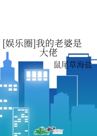 木浮生小说