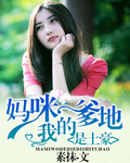 苹果13pro