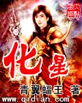 少年玩遍全城美妇小说