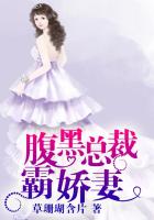 一妻多夫小说穿越重生