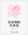 hay全球聊天安卓下载