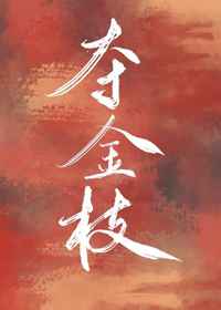 电影南北少林