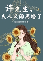 如影随形盛夏骆寒东