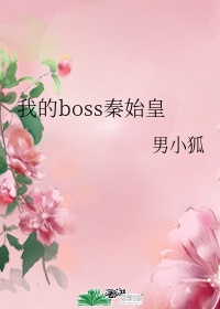 翻滚吧前夫免费阅读