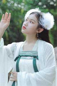 魔道祖师肉车长图