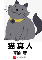 婷婷俺来也
