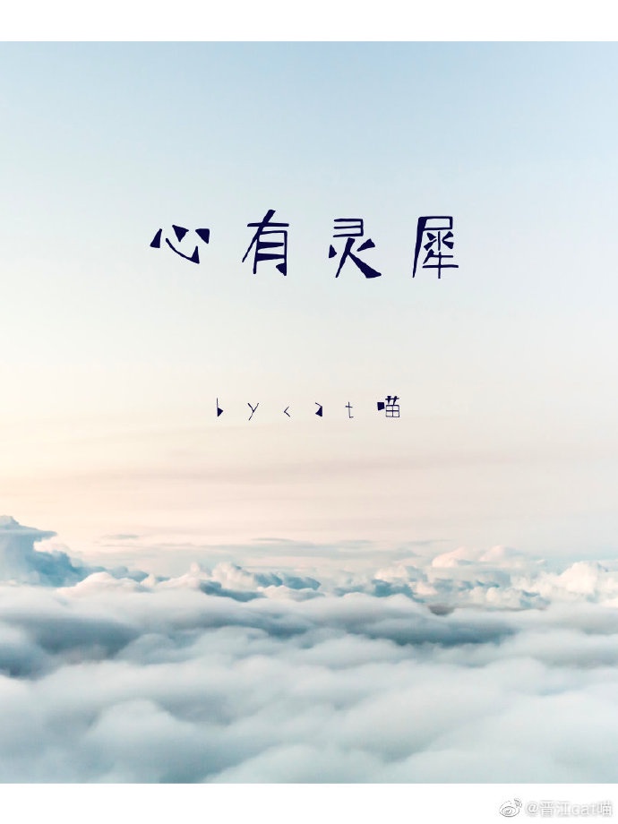 阿宾正传txt全集下载