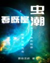dnf装备打孔