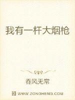 艺术漆墙面效果