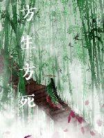 h动态图