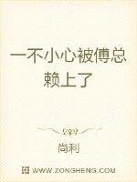 官场风流小说