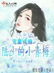 为奴十三年