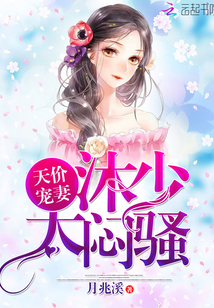 国产精品h