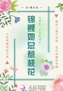 木叶之纳米核心