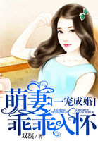 母亲的职业完整版