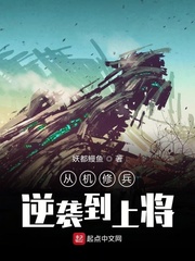 飞卢同人小说排行榜