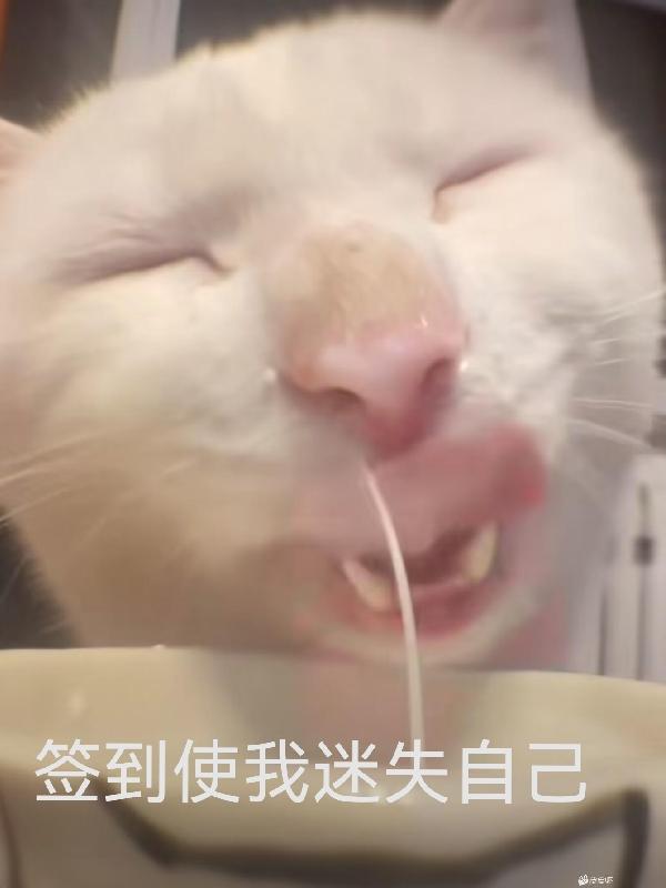 yezhulu在线视频地址