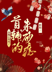 小宝寻花视频播放