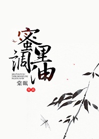 陈皮皮的故事全文阅读