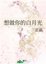 又黄又免费的视频