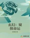 东野圭吾小说