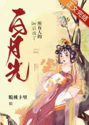 清宫气数录国语电视剧在线观看