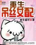 夜夜春宵老扒目录