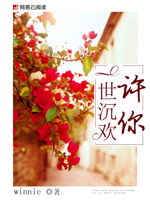 灰姑娘成人版
