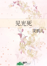 假面骑士极狐免费观看完整版中文