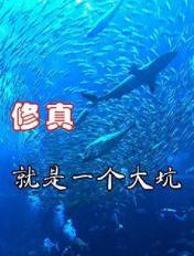 最新韩国电影推荐