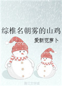 阿衰正传
