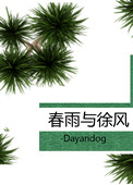 里约热内卢圣徒之城