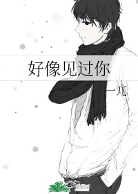 双归雁明月珰小说
