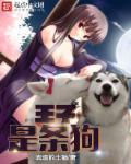 新新电影