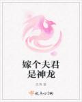 五星红旗迎风飘扬第二部