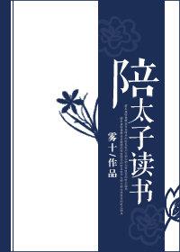 杨家将外传小说