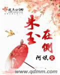 古言宠文肉多短篇轻松