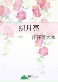 小说全文阅读
