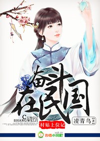 穿越之绝色皇妃