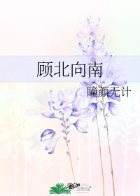 上古练气士
