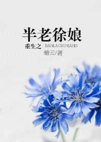 倾城佳话