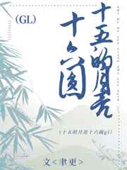法证先锋1