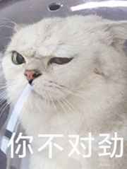 《我来松松土》褚元陈心