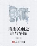 追风筝的人电影