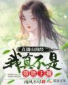 三分野电视剧免费观看全集星辰