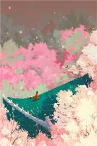 月光盒子