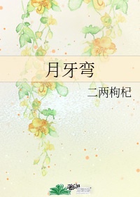 老司机地址