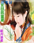 与你听晚风全文免费阅读无弹窗