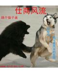 佳丽视频